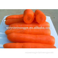 2015 New Crop Chinese Fresh Carrot